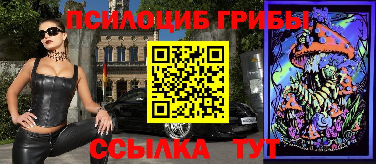 как найти закладки  Галлюциногенные грибы MAGIC MUSHROOMS  Вход с VPN  Кудрово 
